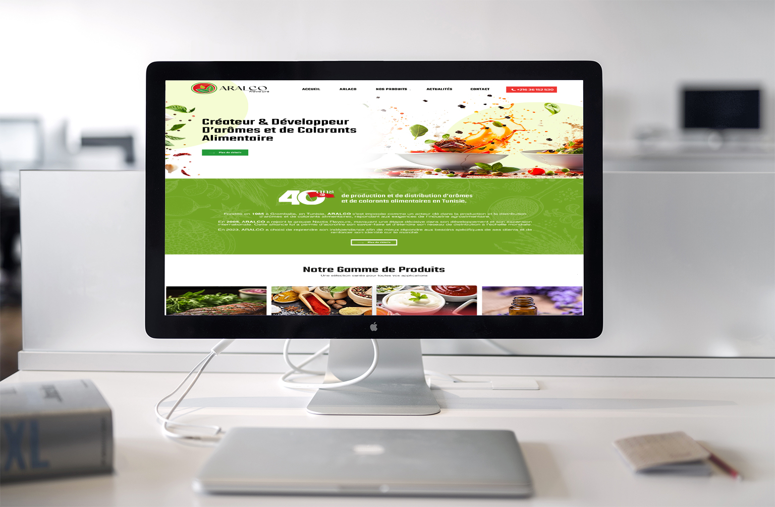 Création site Aralco - agence pro web tunisie
