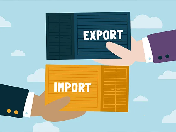 Exportation de rapports