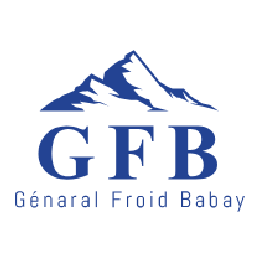 gfb - proweb tunisie